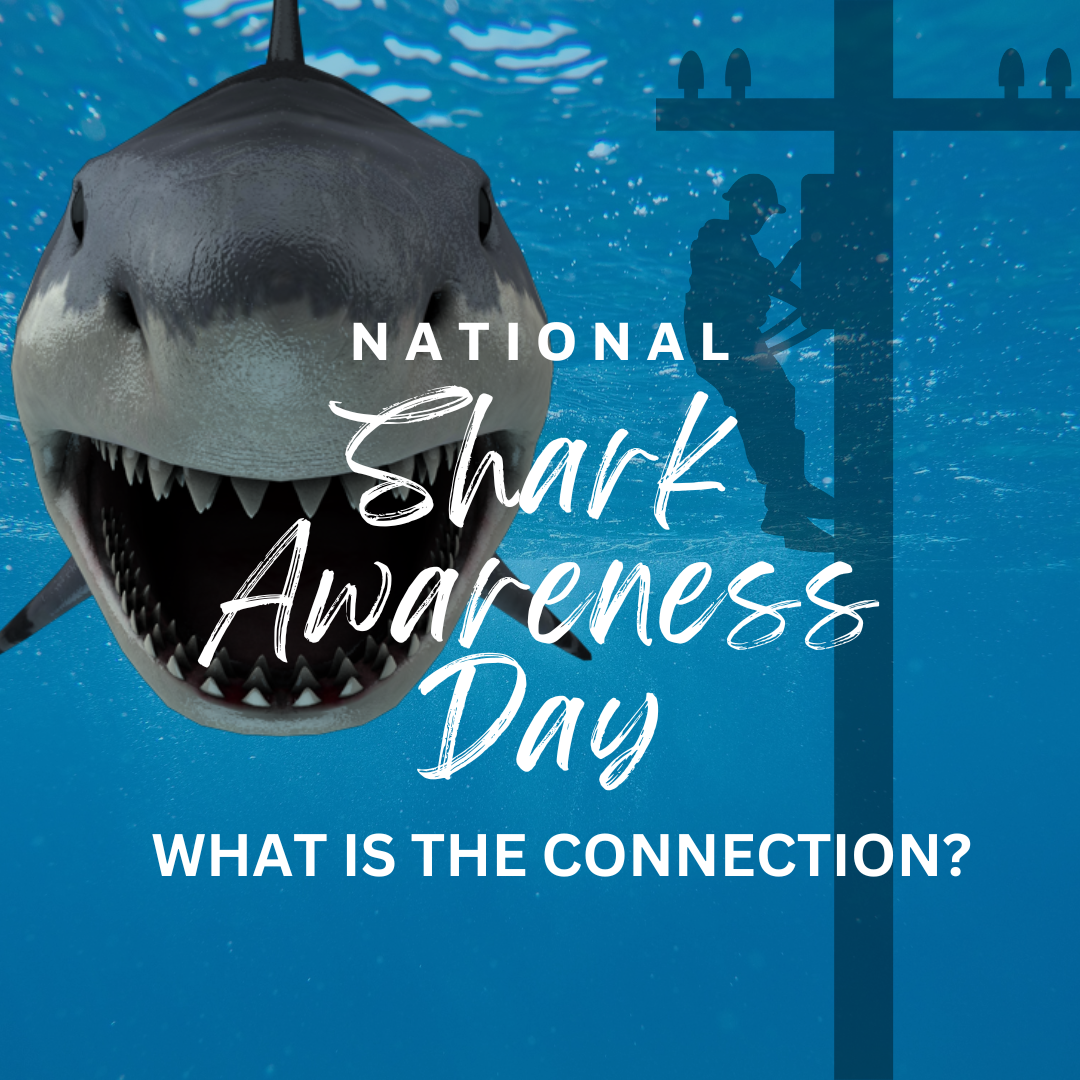 National Shark Awareness Day Diving into the Connection between